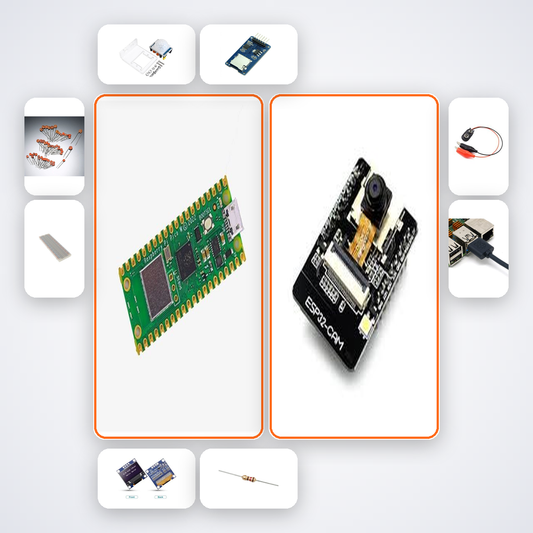 Pi Pico W Motion Activated Camera Trap